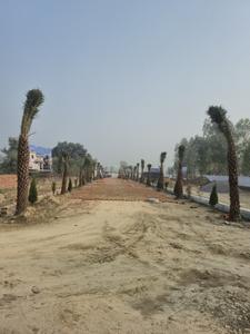 Project Image of 1000 Sq.ft Residential Plot / Land for sale in Nargismau for Rs. 2699872