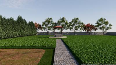 Project Images