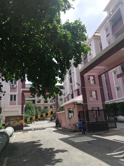 Gallery Cover Pic of SVS Balaji Bliss