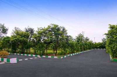 Project Image of 810.0 - 9000.0 Sq.ft Residential Plot Plot for buy in Siyora Royal Court