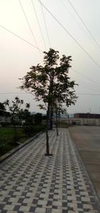 Project Images