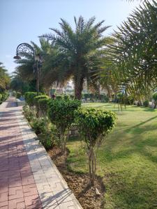 Project Image of 861.0 - 1884.0 Sq.ft Residential Plot Plot for buy in Hari Ashray Nagar Haridwar Residential Plots and Villas