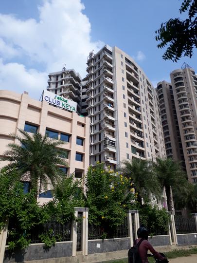 Sikka Karmic Greens - Image 3