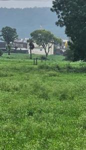 Project Image of 555.53 - 1966.03 Sq.ft Residential Plot Plot for buy in Tirupati Kamdhenu Park