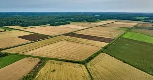 Project Image of 1000.0 - 1200.0 Sq.ft Agricultural Land Agricultural Land for buy in Gunpreet Test 2