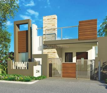 Mitta Iris iris-elevation-3596944.jpg 1