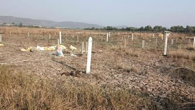 Project Image of 1089.0 - 3267.0 Sq.ft Residential Plot Plot for buy in High Vision Plots in Ranjanpada