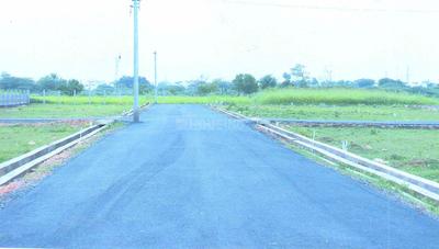 Project Images