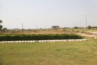 Project Image of 115 Sq.ft Residential Plot / Land for sale in Yeida for Rs. 14385000