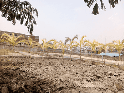 Project Image of 1919.42 - 2671.39 Sq.ft Residential Plot Plot for buy in Kavish Enclave