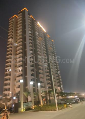 ABA Coco County - Image 4