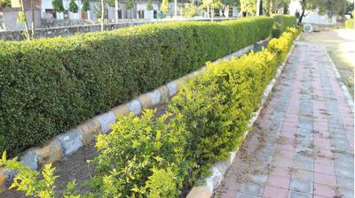 Project Image of 8439.66 - 16124.88 Sq.ft Residential Plot Plot for buy in R R Homes Kanakpura 3rd