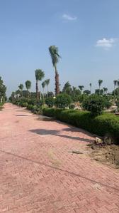 Project Image of 450.0 - 900.0 Sq.ft Residential Plot Plot for buy in Deswal Krishna Spring