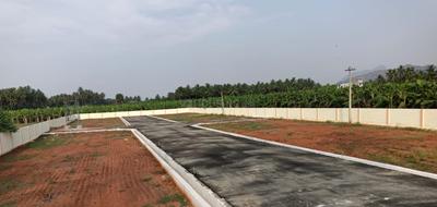 Project Images
