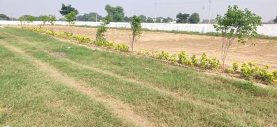 Project Image of 450.0 - 1800.0 Sq.ft Residential Plot Plot for buy in Flowerish Garden City Residential Plots