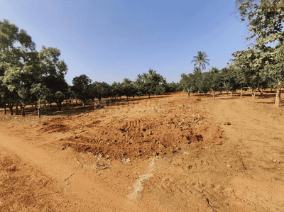 Project Image of 1212.45 - 5942.43 Sq.ft Residential Plot Plot for buy in Shreyas Natures Sign