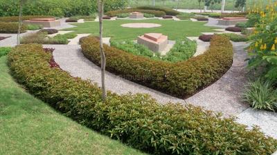 Samarth Dream City Landscape Garden and Tree Planting 2