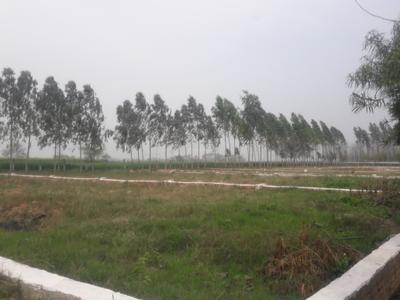 Project Images
