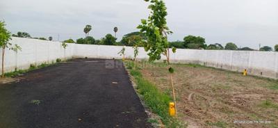 Project Image of 1120.0 - 1155.0 Sq.ft Residential Plot Plot for buy in JK Sri Kamatchi Nagar