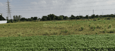 Project Image of 17186.41 - 25398.63 Sq.ft Residential Plot Plot for buy in Shaileshkumar Ravjibhai Nonghanvadara Shreeji
