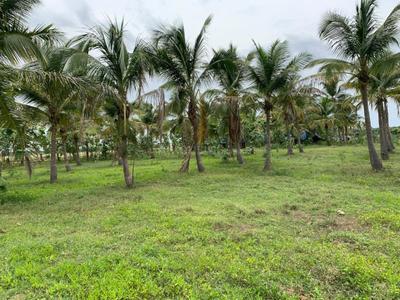Project Image of 1200.0 - 2352.0 Sq.ft Residential Plot Plot for buy in Sri Arunachaleswarar Nagar