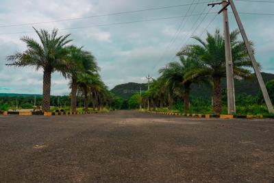 Project Image of 1620.0 - 2520.0 Sq.ft Residential Plot Plot for buy in Jai Dev Sai Srinivasa Township