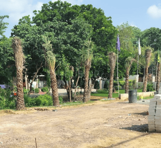 Project Image of 1611 Sq.ft Residential Plot / Land for sale in Pataudi for Rs. 17631500