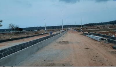 Tricolour Safrron Rise Plot 2