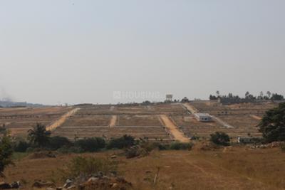 Project Image of 1200.0 - 5000.0 Sq.ft Residential Plot Plot for buy in AVS De Flora