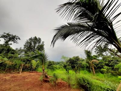 Project Image of 1000.0 - 10000.0 Sq.ft Residential Plot Plot for buy in Farm N Land Mangaon