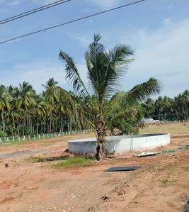 Project Image of 10738.0 - 13878.0 Sq.ft Residential Plot Plot for buy in Sowbhakya Adithya Ram Farm City