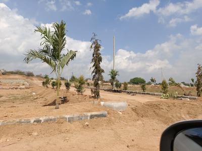Project Image of 1485.0 - 7200.0 Sq.ft Residential Plot Plot for buy in Sree Bhuvi Pharma City