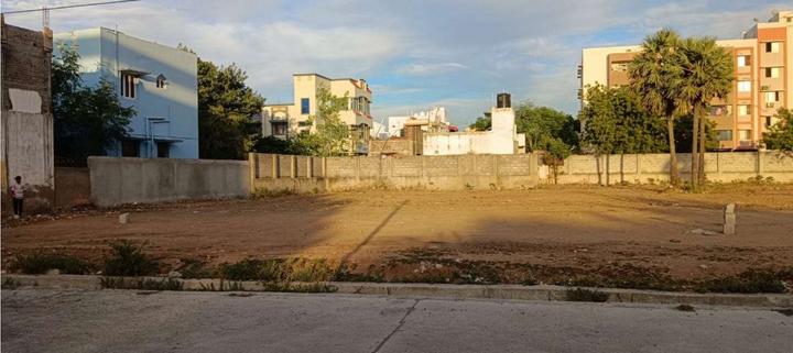 Gallery Cover Pic of ABC Tulip