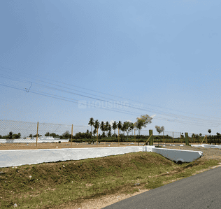 Project Images
