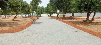 Project Image of 633.0 - 1533.0 Sq.ft Residential Plot Plot for buy in Mahalakshmi Nagar