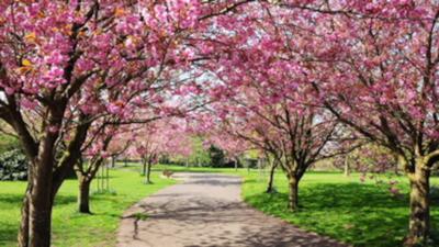 Project Image of 519.0 - 2648.0 Sq.ft Residential Plot Plot for buy in Purva Oakshire