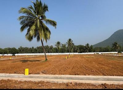 Project Image of 1296.0 - 2700.0 Sq.ft Residential Plot Plot for buy in Anand AK Properties
