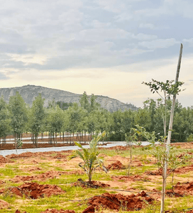 Project Image of 1358.3 - 7543.99 Sq.ft Residential Plot Plot for buy in Tula Rhythm Of Earth