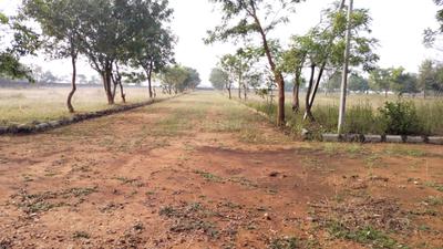 Project Image of 1350.0 - 3600.0 Sq.ft Residential Plot Plot for buy in Propview Archana Diamond