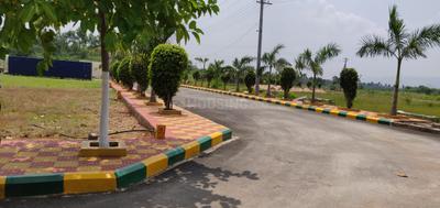 Project Images