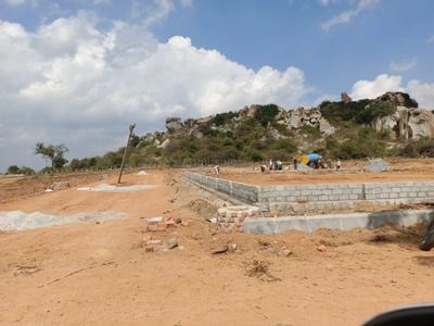 Project Image of 1485.0 - 7200.0 Sq.ft Residential Plot Plot for buy in Sree Bhuvi Pharma City