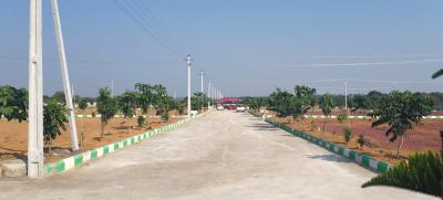 Project Image of 1260.0 - 2700.0 Sq.ft Residential Plot Plot for buy in Nimz Galaxy