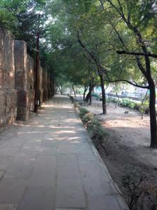 Project Image of 480 Sq.ft 1 BHK Apartment / Flat for sale in New Ashok Nagar for Rs. 3500000