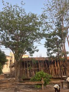 Project Image of 987.27 - 1265.3 Sq.ft 3 BHK Apartment for buy in Balaji Capital