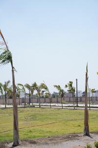 Project Image of 900.0 - 1200.0 Sq.ft Residential Plot Plot for buy in VKG Devbhumi