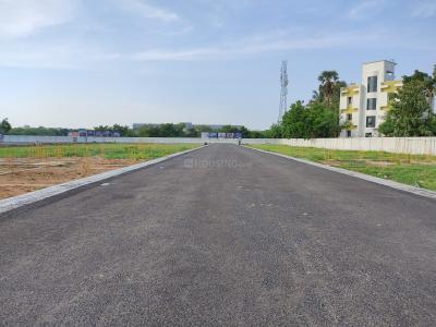 Project Image of 1250.0 - 1800.0 Sq.ft Residential Plot Plot for buy in Fortune Park And Bloom