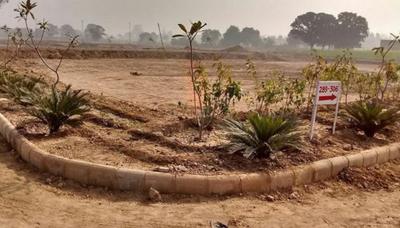 Project Image of 2250.0 - 4500.0 Sq.ft Residential Plot Plot for buy in Altus Muirwoods