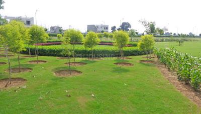 Project Image of 200 Sq.ft Residential Plot / Land for sale in Hardaspur for Rs. 6400000