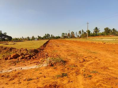 Project Image of 1200 Sq.ft Residential Plot / Land for sale in Doddaballapura for Rs. 6200000