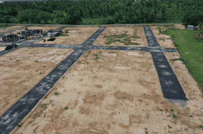 Project Images